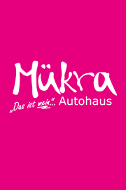 Fahrzeugauferbereitung